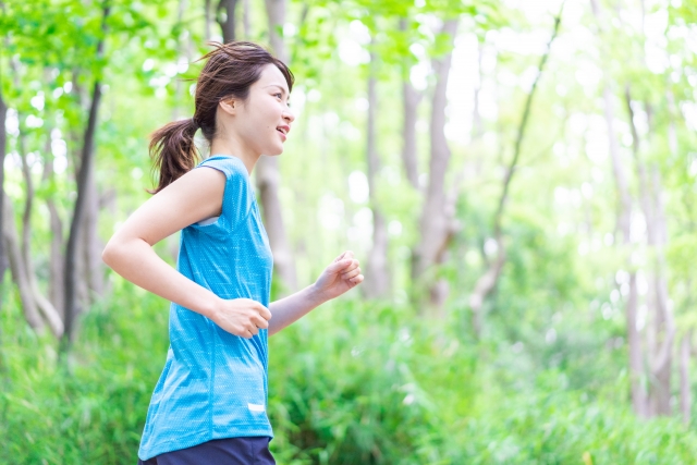 Stepnは底なし大暴落へ 11 13日目の記録
